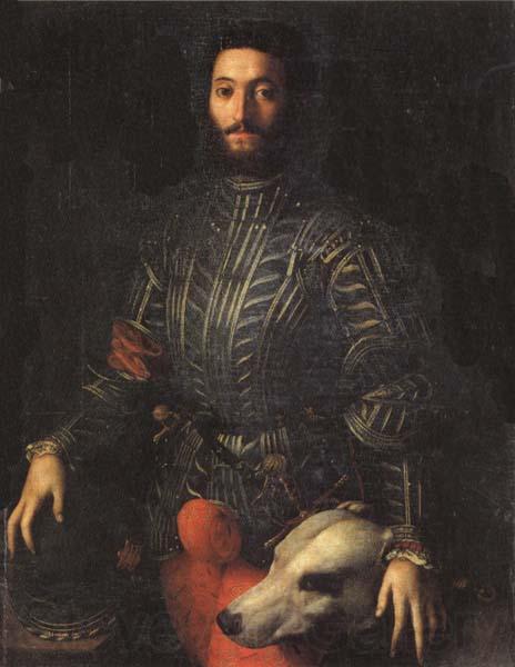 Agnolo Bronzino Portrait of Guidubaldo della Rovere Spain oil painting art